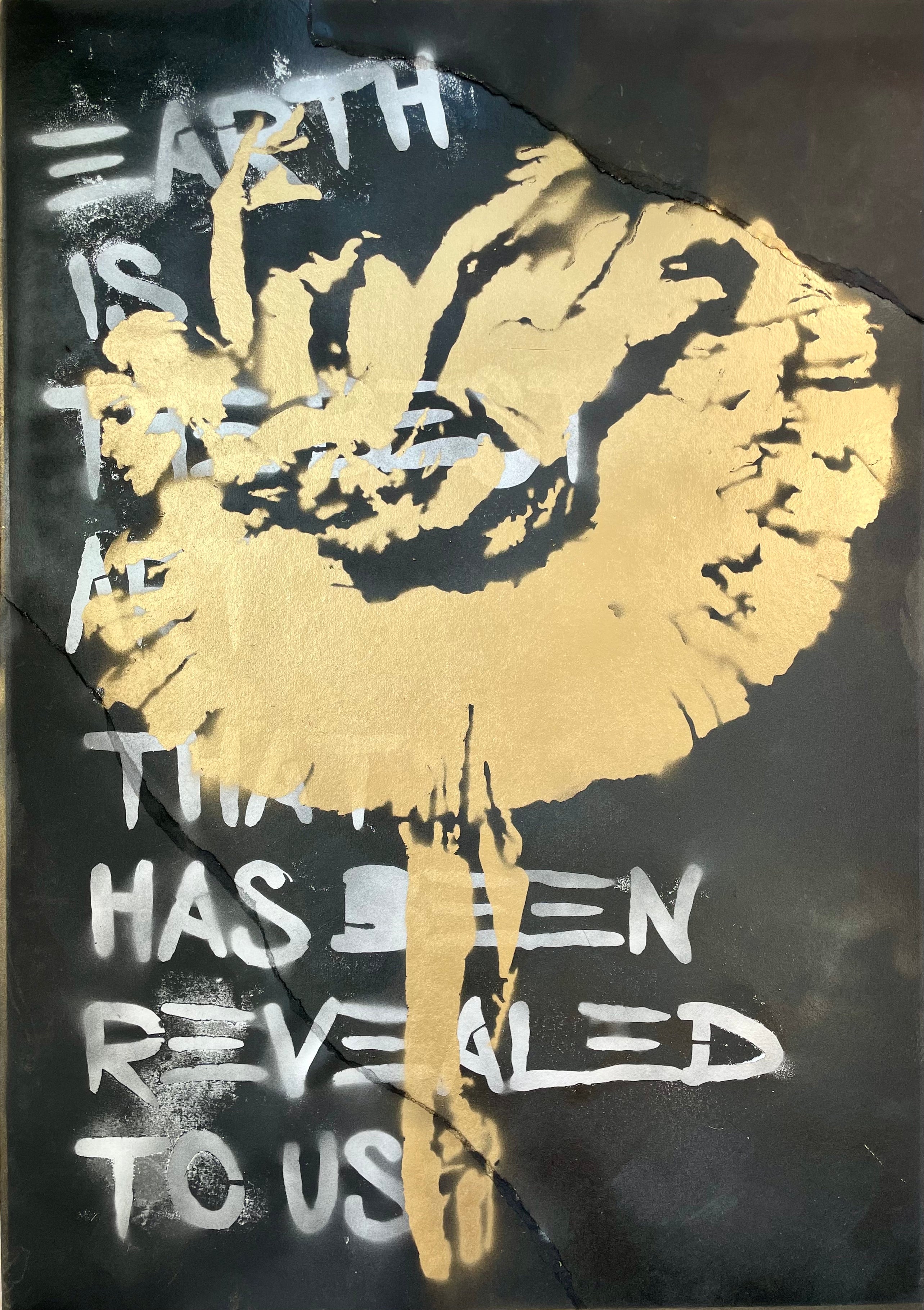 Earth Is The Best Art